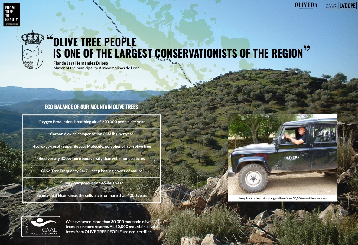 Screenshot Certified Olive Trees: Jeep.jpg